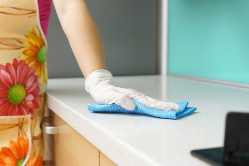 Professional domestic cleaner tidying a Barnes living room
