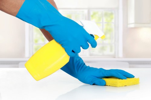 Kitchen surfaces being cleaned during domestic cleaning in Barnes