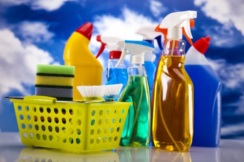 Professional carpet cleaning methods for domestic and office areas