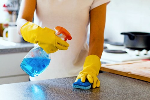Professional carpet care in Barnes for long-lasting results