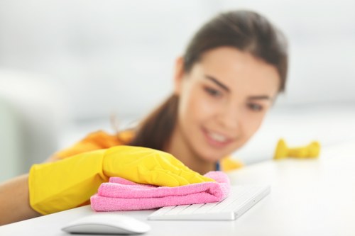 Domestic and office cleaning services available in Barnes