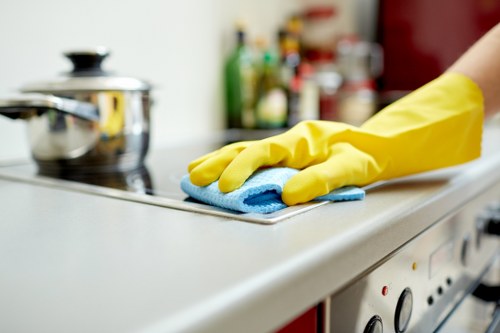 Professional carpet cleaning Barnes service removing embedded dirt