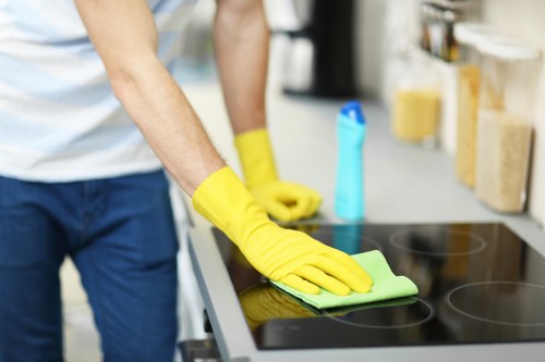 Stain removal treatment for a living room sofa in Barnes